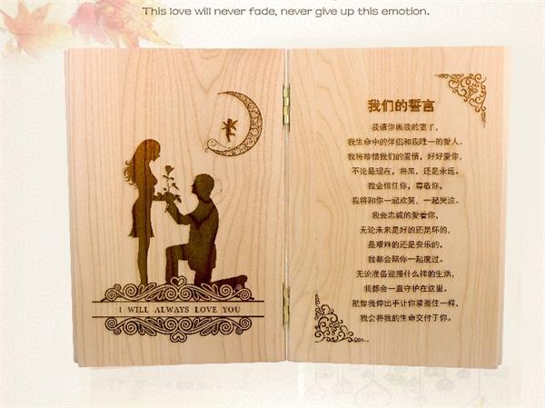 diy laser engraver diy laser engraver