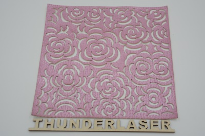 fabric laser cutter