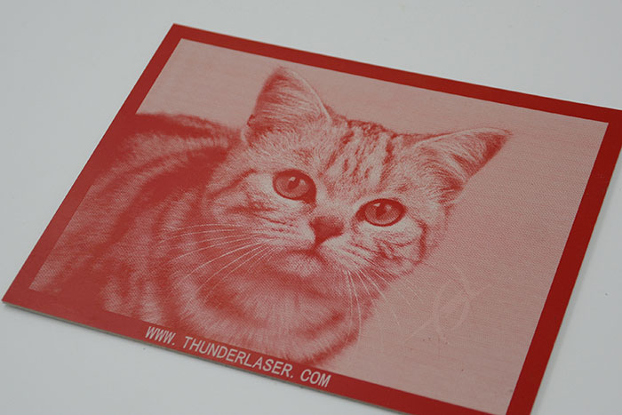 cat Double-Color-Abs laser engraver