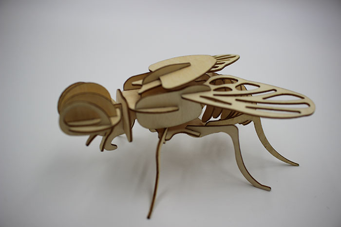 wood fly laser cutter